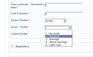 Entering a custom field